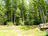 Evergreen/Cascades "Deer Run"